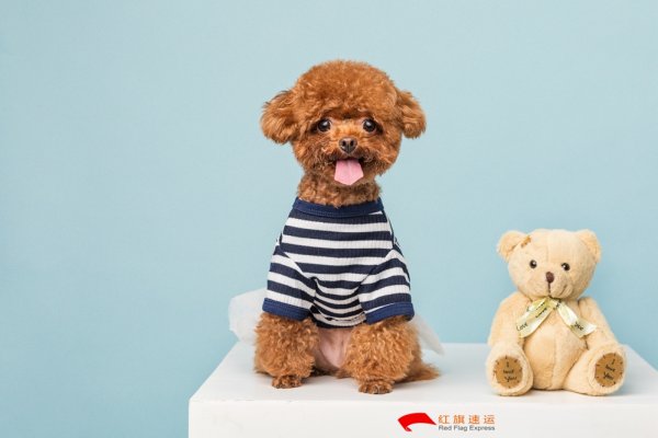 疫情期間香港商品如何轉(zhuǎn)運(yùn)到遼寧阜新呢？