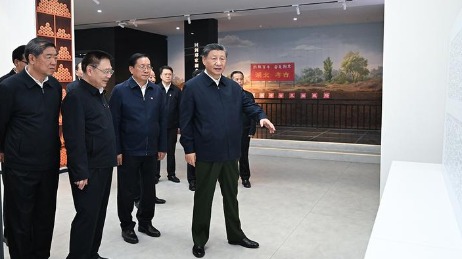 微軟公司門戶app下載安卓