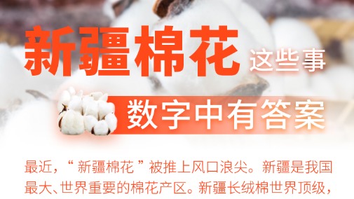 事關(guān)“菜籃子”“錢袋子” 電子計(jì)價(jià)秤作弊識(shí)別有了國(guó)家規(guī)範(fàn)