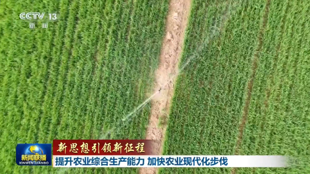 南周報道追蹤：不賣藥也不在香港，“香港大藥房”被查處