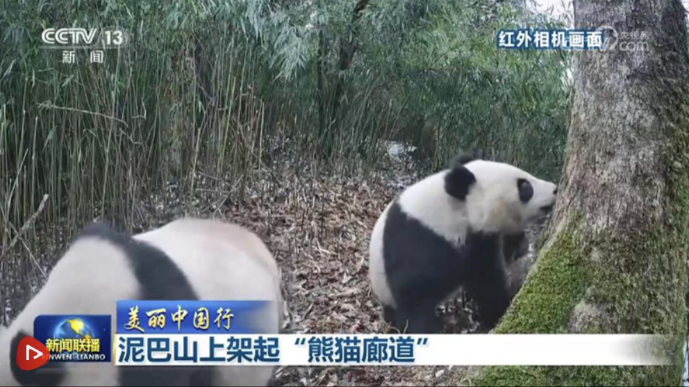 聽(tīng)番F(xiàn)M正版下載安裝