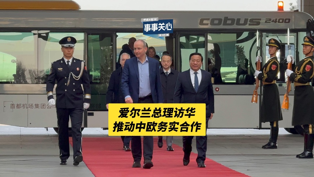48支球隊1248名球員，一組數字看懂美加墨世界杯