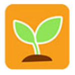 藍莓觀瀾｜“村”裏的戲劇節，為什麼火到全國？