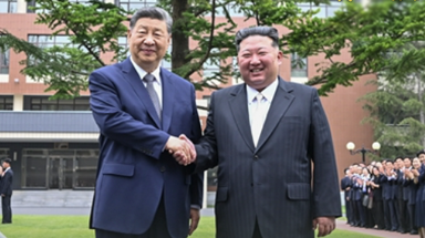 Dollphone圖標包下載